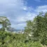  Земельный участок for sale in Патонг, Пхукет, Патонг, Катху