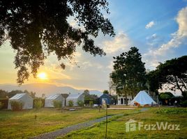  Grundstück zu verkaufen in Mae Rim, Chiang Mai, Don Kaeo, Mae Rim, Chiang Mai, Thailand