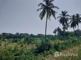  토지을(를) 태국에서 판매합니다., 모자 캄, Mueang Nong Khai, Nong Khai, 태국