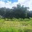 ขายที่ดิน ใน ดงมหาวัน, เชียงราย, ดงมหาวัน