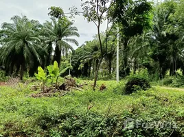  Land for sale in Nong Thale, Krabi, Nong Thale, Mueang Krabi, Krabi, Thailand