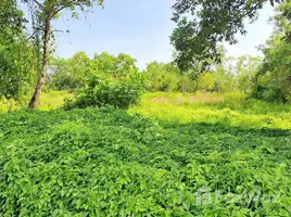 ขายที่ดิน ใน เทพกระษัตรี, ภูเก็ต, เทพกระษัตรี, ถลาง