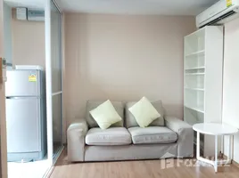 คอนโด 1 ห้องนอน ให้เช่า ในโครงการ เดอะ เบส สุขุมวิท 77, พระโขนงเหนือ, วัฒนา