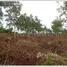  ທີ່ດິນ for sale in ປາກງື່ມ, ວຽງຈັນ, ປາກງື່ມ