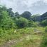  Land for sale in Kathu, Phuket, Patong, Kathu