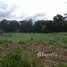  Terrain for sale in Amazonas, Presidente Figueiredo, Amazonas