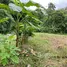  Land for sale in Alajuela, San Mateo, Alajuela