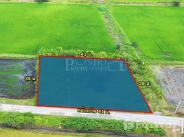 ขายที่ดิน ใน คลองโยง, นครปฐม, คลองโยง, พุทธมณฑล, นครปฐม, ไทย