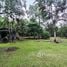 6 Bedroom House for sale in Guacimo Limon, Guacimo, Limon