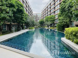 1 Bedroom Condo for rent at D Condo Creek, Kathu, Kathu, Phuket, Thailand