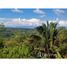  Land for sale in Costa Rica, Golfito, Puntarenas, Costa Rica