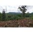  Land for sale in Osa, Puntarenas, Osa