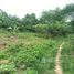  Land for sale in Cape Coast Central, Cape Coast, Central, Ghana