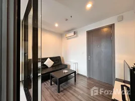 1 Bedroom Condo for rent at The Base Park East Sukhumvit 77, Phra Khanong Nuea, Watthana, Bangkok, Thailand