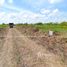  Земельный участок for sale in Na Mai, Патумтани, Na Mai, Lat Lum Kaeo