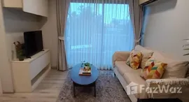 ยูนิตมือสองและให้เช่า