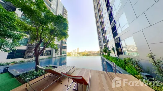 3D Walkthrough of the Communal Pool at Rhythm Sukhumvit 36-38