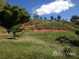  토지을(를) 페르난도 드 노론 나, Rio Grande do Norte에서 판매합니다., Fernando De Noronha, 페르난도 드 노론 나