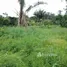  Grundstück zu verkaufen in Careiro, Amazonas, Careiro, Amazonas