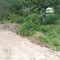 ขายที่ดิน ใน กมลา, ภูเก็ต, กมลา, กะทู้