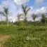  Terreno (Parcela) en venta en Rio Preto Da Eva, Amazonas, Rio Preto Da Eva