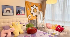 ยูนิตมือสองและให้เช่า