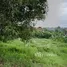  Land for sale in Bo Phut, Koh Samui, Bo Phut