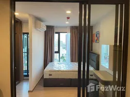 อพาร์ทเม้นท์ 1 ห้องนอน ให้เช่า ในโครงการ แอสปาย สุขุมวิท-พระราม 4, พระโขนง