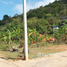  Land for sale in Phuket Town, Phuket, Rawai, Phuket Town