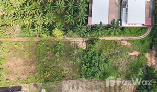 N/A Land for sale in Pak Nam, Krabi 