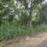 Land for sale in Thap Tai, Hua Hin, Thap Tai