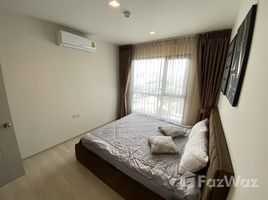 2 Bedroom Condo for rent at Life Sukhumvit 48, Phra Khanong, Khlong Toei