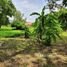  Land for sale in Chalong, Phuket Town, Chalong