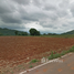  Terrain for sale in Nakhon Ratchasima, Khanong Phra, Pak Chong, Nakhon Ratchasima