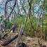  Terreno (Parcela) en venta en Costa Rica, La Cruz, Guanacaste, Costa Rica