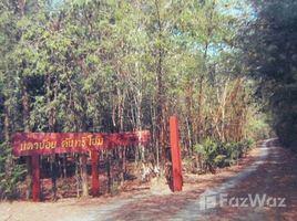 N/A Land for sale in Klon Do, Kanchanaburi Land And Khwae Noi Country Home For Sale