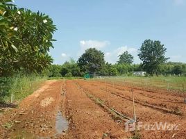  Land for sale in Udon Thani, Ban Tat, Mueang Udon Thani, Udon Thani