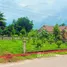  Земельный участок for sale in Taphong, Районг, Taphong