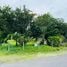  Terreno (Parcela) en venta en Costa Rica, Pococi, Limón, Costa Rica