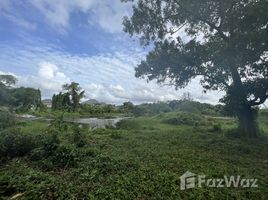  Land for sale in Thalang, Phuket, Choeng Thale, Thalang