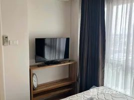 คอนโด 1 ห้องนอน ให้เช่า ในโครงการ ลุมพินี พาร์ค ริเวอร์ไซด์ พระราม 3, บางโพงพาง, ยานนาวา