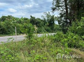  Land for sale in Thailand, Wang Takhian, Khao Saming, Trat, Thailand