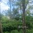  Land for sale in Choeng Thale, Thalang, Choeng Thale