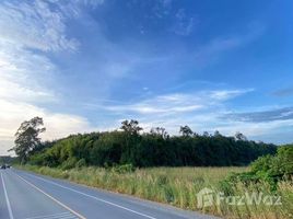 ขายที่ดิน ใน แปลงยาว, ฉะเชิงเทรา, แปลงยาว, แปลงยาว, ฉะเชิงเทรา, ไทย