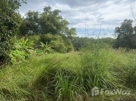 N/A Land for sale in Ban Khai, Rayong 400 sqw Land for Sale in Ban Khai