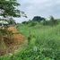  Land for sale in Thailand, Nakhon Pathom, Mueang Nakhon Pathom, Nakhon Pathom, Thailand