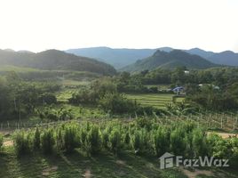 帕 Soi 27 Rai Land with Unblocked Open Mountain View in Wang Chin, Phrae N/A 土地 售 