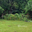  Land for sale in Mueang Chiang Rai, Chiang Rai, Ban Du, Mueang Chiang Rai