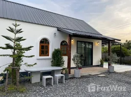 1 Bedroom House for rent in Nong Faek, Chiang Mai, Nong Faek, Saraphi, Chiang Mai, Thailand