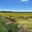  Land for sale in Khok Faet, Bangkok, Khok Faet, Nong Chok, Bangkok